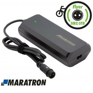 Ladegerät für Flyer, Panasonic SIB 2.0, STB-630, STB-750 Akkus 36V 4A